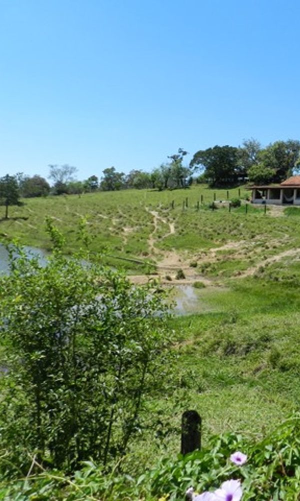 Fazenda Pura Vida Lancamento em Porto Feliz Lotes planejados